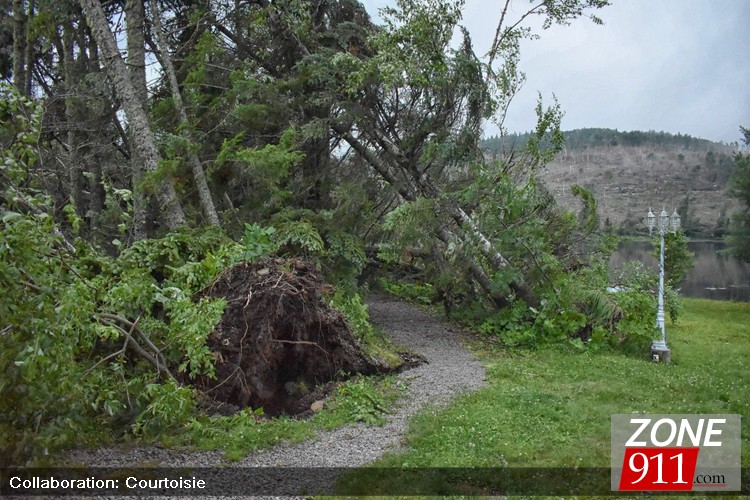 Microrafale ou tornade dans le secteur de Stoneham / Tewkesbury ?