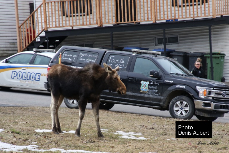 received 6717859620091041W