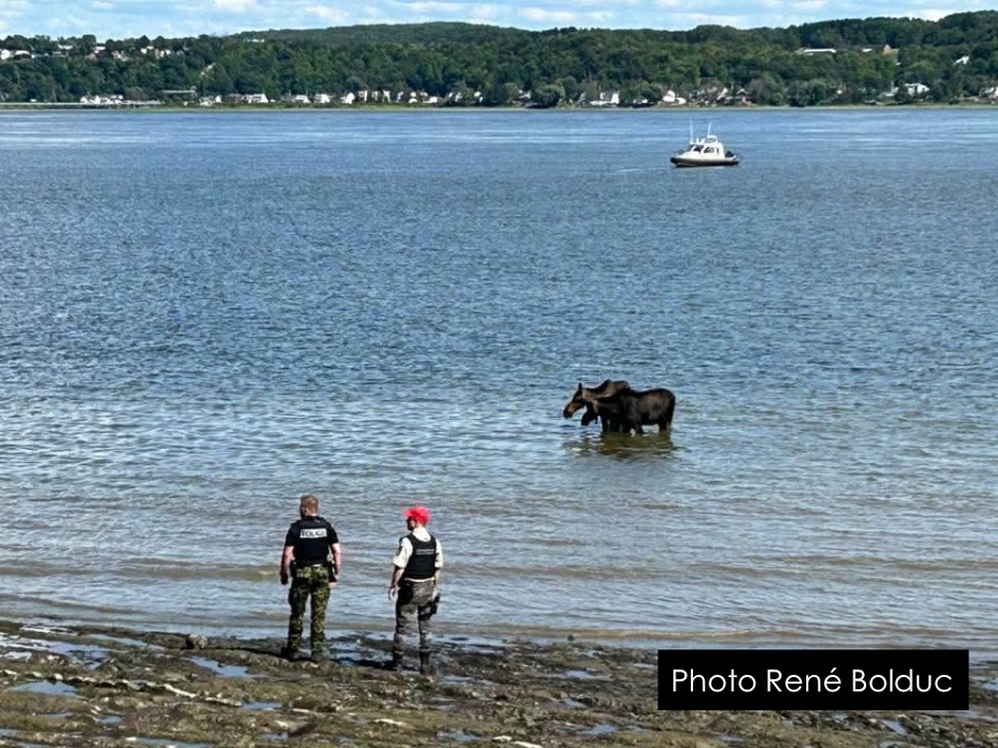 FB IMG 17540951694401W