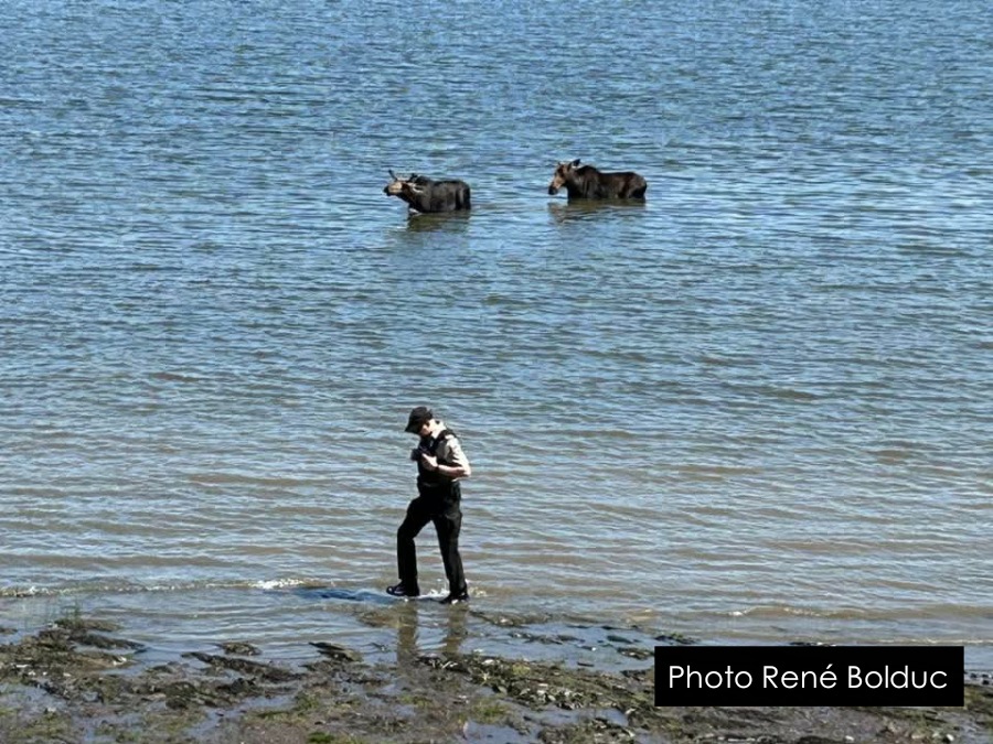 FB IMG 17540951999041W  (1)