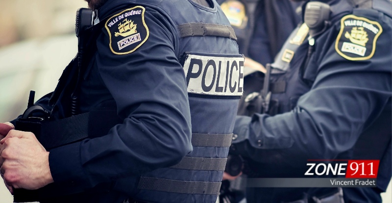 Arrêté après avoir lancé des feux d'artifices dans un parc